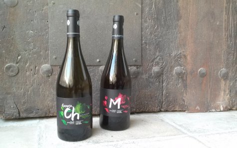 Els vins del Celler Matallonga